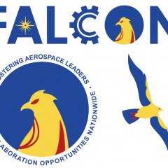 FALCON Logo Icon and Graphics