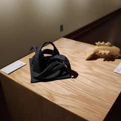 IMG5281