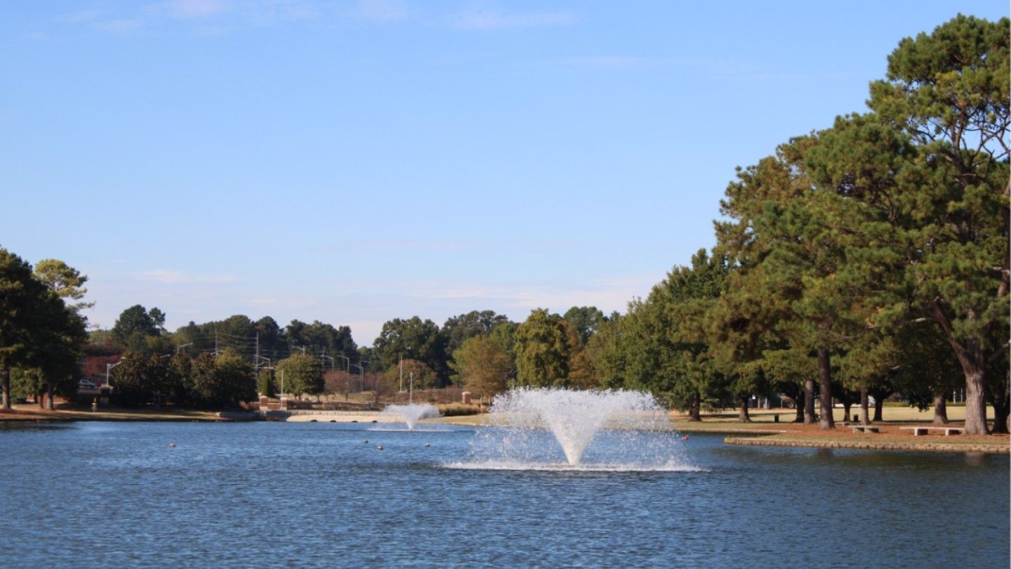 a pond with two fountains surrounded by trees