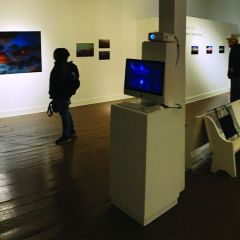 Gallery-Shot4