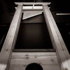 20221101-DSC4123