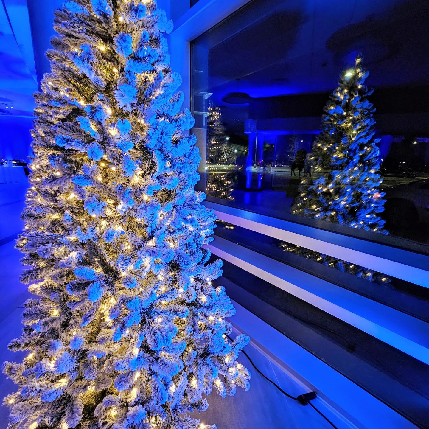 Honorable Mention: Christmas on Campus - Sam Campbell