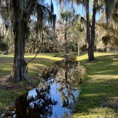 12c-Jill-Stewart-Spanish-Moss-Mirrored-in-a-Moat-