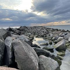 17a-Sunbathing-Boulders-Patricia-Sammon-Peg-1-1