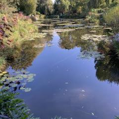 5a-Reflections-at-Monets-Garden-1-Patrick-Molloy-