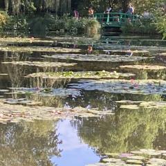 5b-Reflections-at-Monets-Garden-2-Patrick-Molloy-