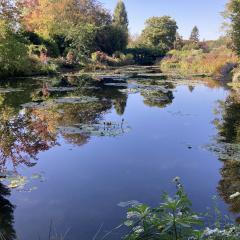 5c-Reflections-at-Monets-Garden-3-Patrick-Malloy-