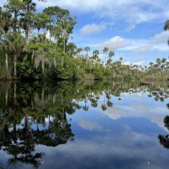 6c-Nancy-Gustafson-Bulow-Creek-Begining-