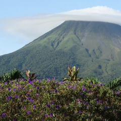 aRENAL-WITH-CLOUD