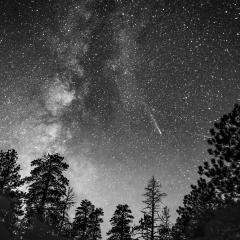 11a-Alice-Searcy-Bryce-Sky