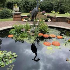 1a-Suezy-Proctor-HSV-Botanical-Gardens-10-1-2024-Heron-fountain