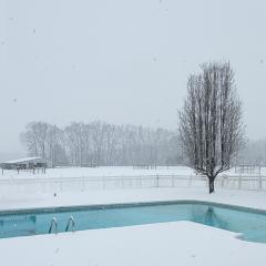 2a-ElaineSwanson-Winter-in-Toney