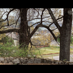 9c-Virginia-Howard-