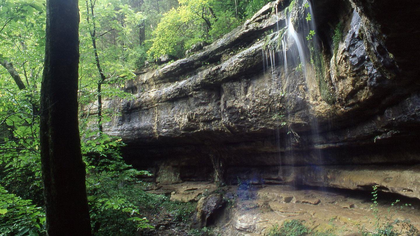 A mossy waterfall hides along a shady, secluded trail in Monte Sano State Park.