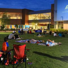 movie-on-the-lawn