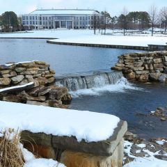 shelby-center-winter