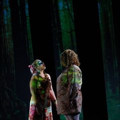midsummer5