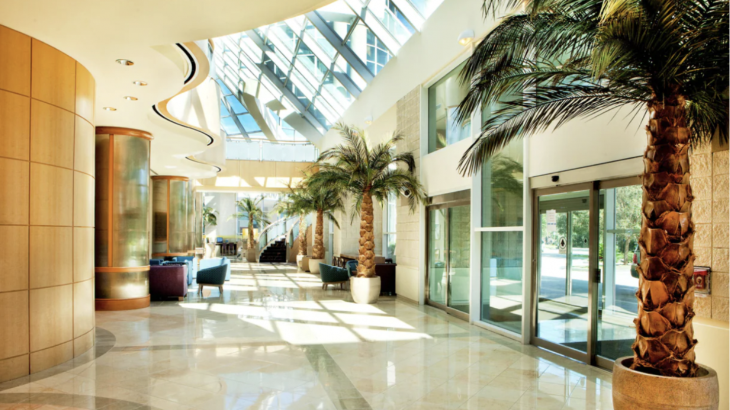 A fancy hallway with mini palm trees