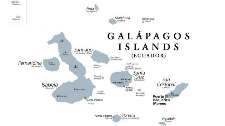 Wildlife-of-Ecuador-and-the-Galapagos-Islands.jpg