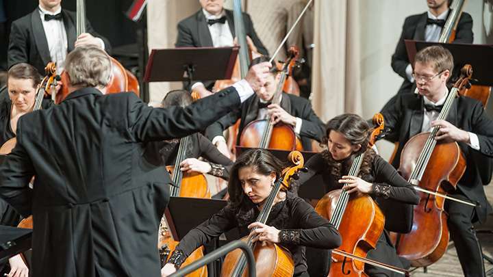 A (Not So) Young Person_s Guide to the Orchestra_resized.jpg