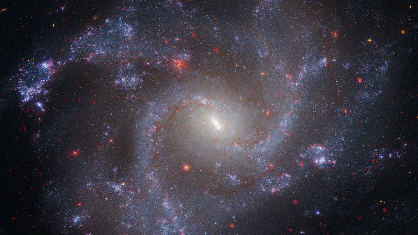 A vibrant spiral galaxy with bright blue and red regions, showcasing star formation against a dark cosmic background.