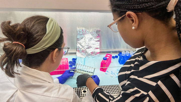Researchers Amy LeBleu DeBartola and Lanie Briggs preparing samples for EVT at Sysoeva lab at UAH.