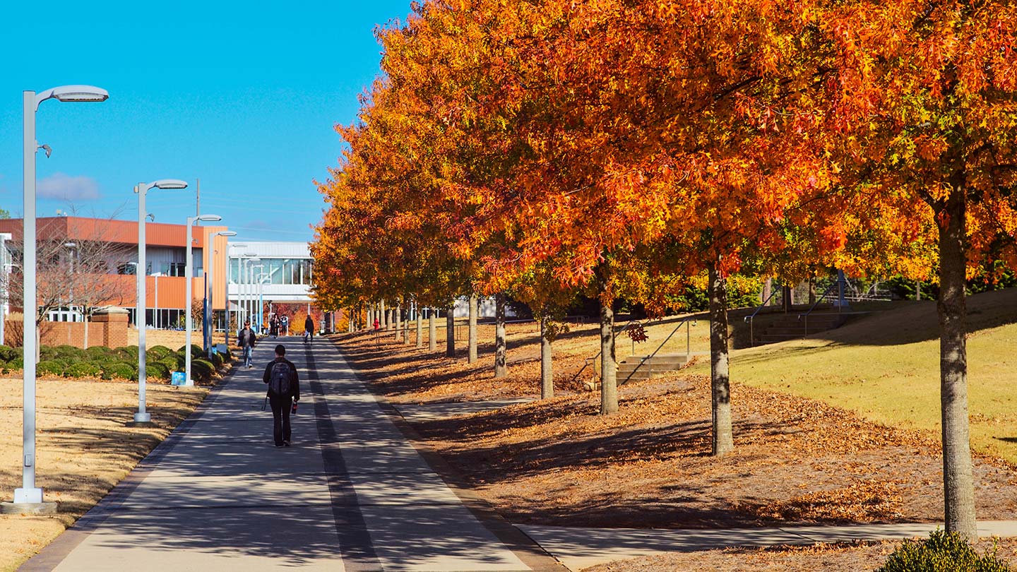 orange trees along a campus walkway