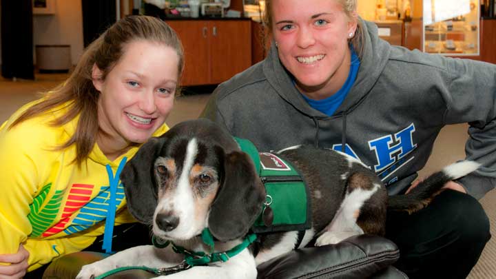 Finals ReCharge is here again for fall 2014 