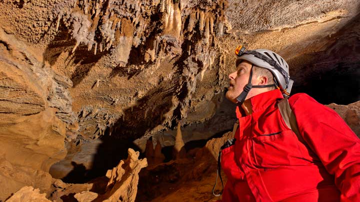 Dr. Niemiller investigating a cave wall