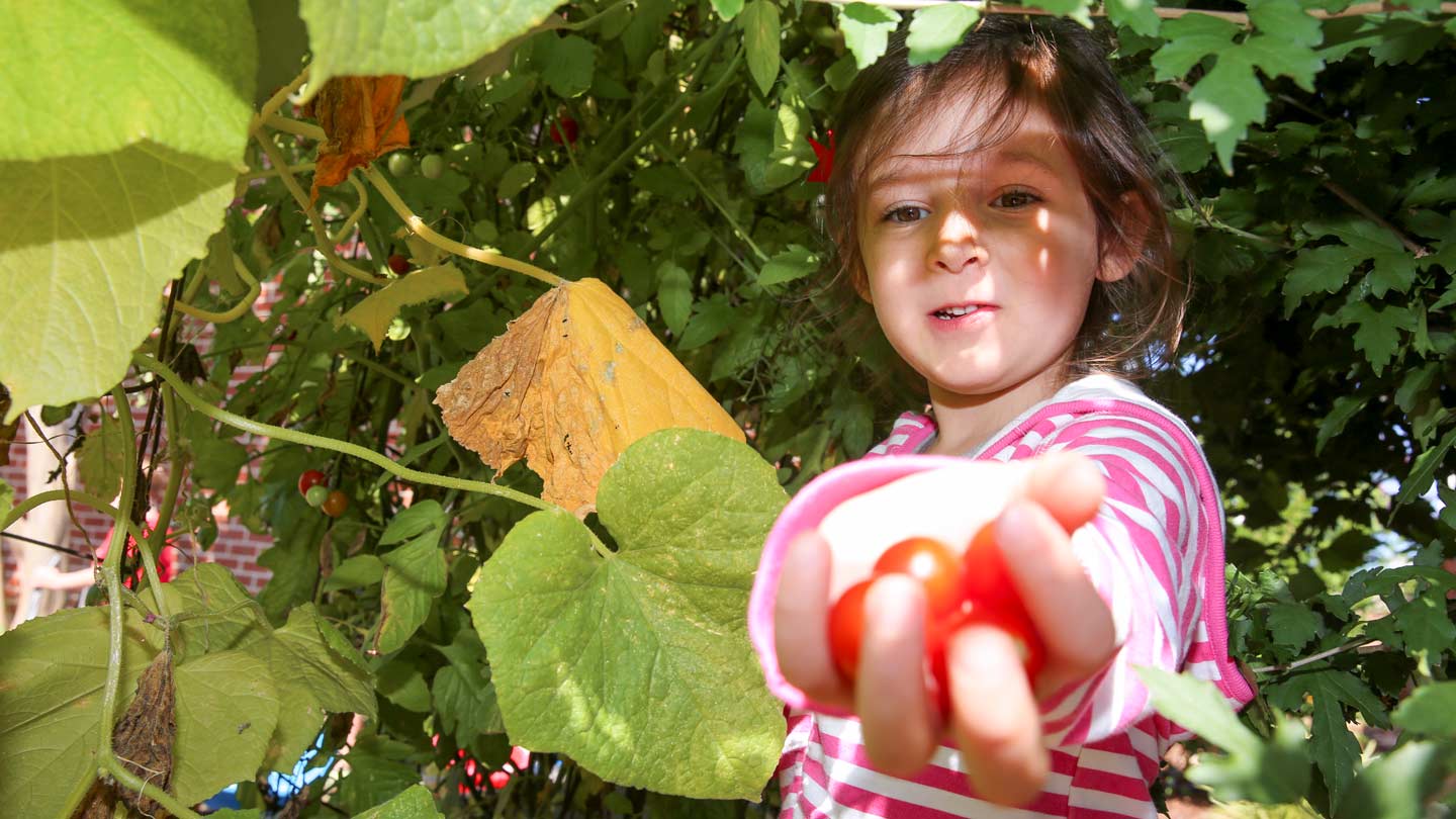 sensory garden