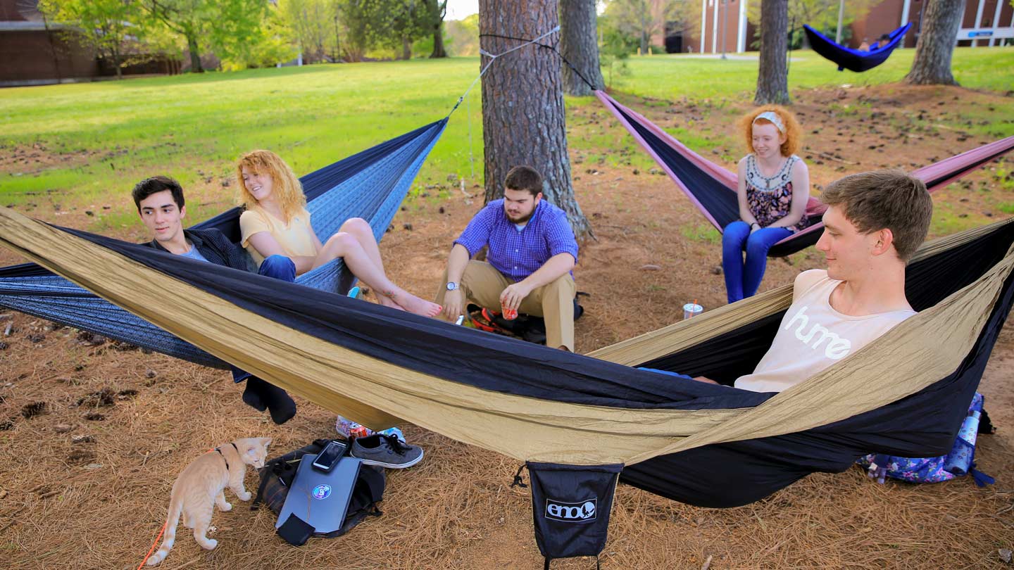 Hammocking event