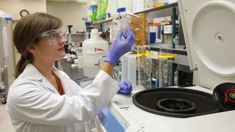 Research done by UAH chemistry major may lead to new cure for Rocky Mountain spotted fever ?>