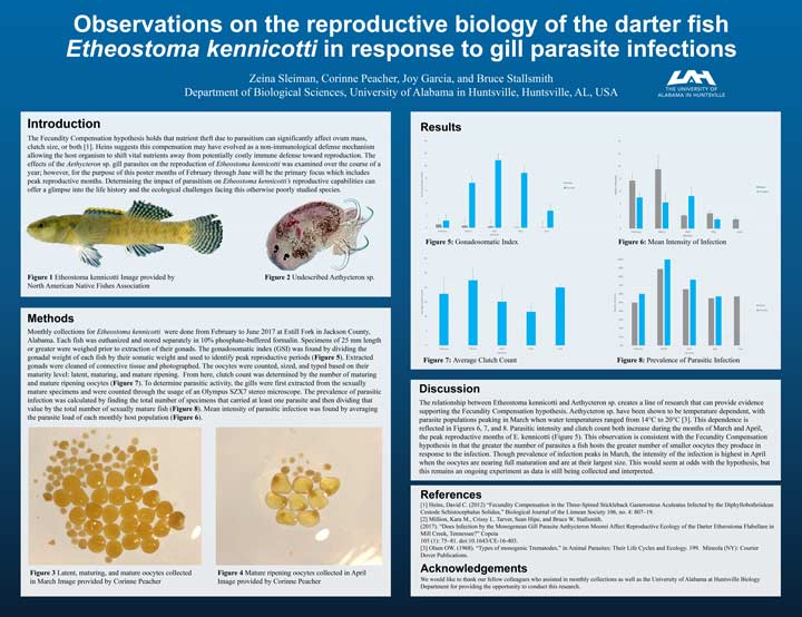 Observations on hte reproductive biology of the darter fish Etheostoma kennicotti in response to gill parasite infections