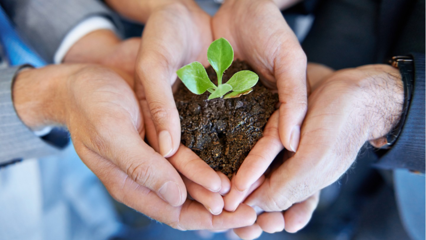 Hands holding dirt and a sprouting plant.