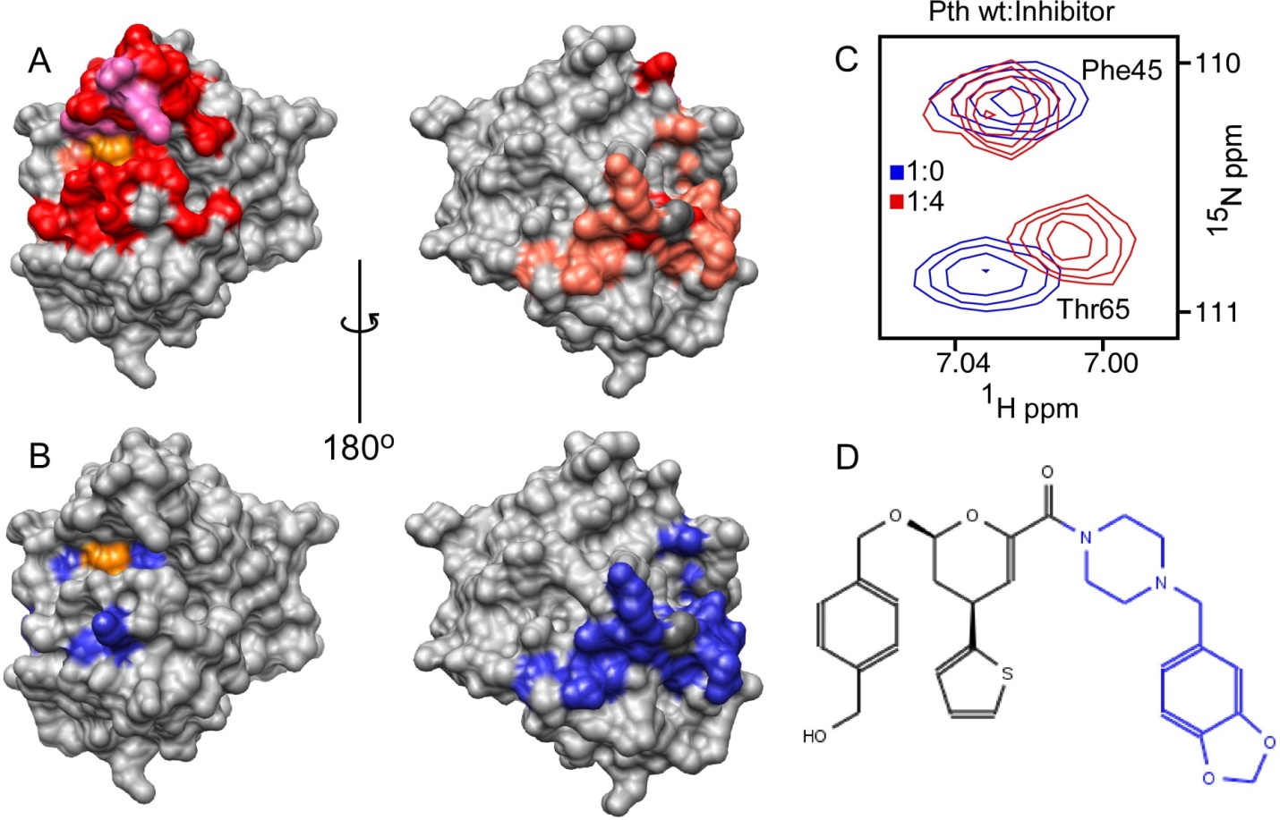 Pth1 Inhibitor