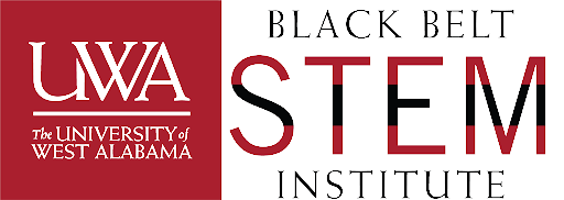 black belt institute no bg