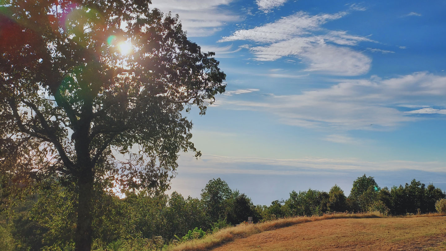 Graham Farm and Nature Center in Jackson County, AL. A hilltop meadow with a shady tree bathed in sunshine under a blue sky with white clouds.