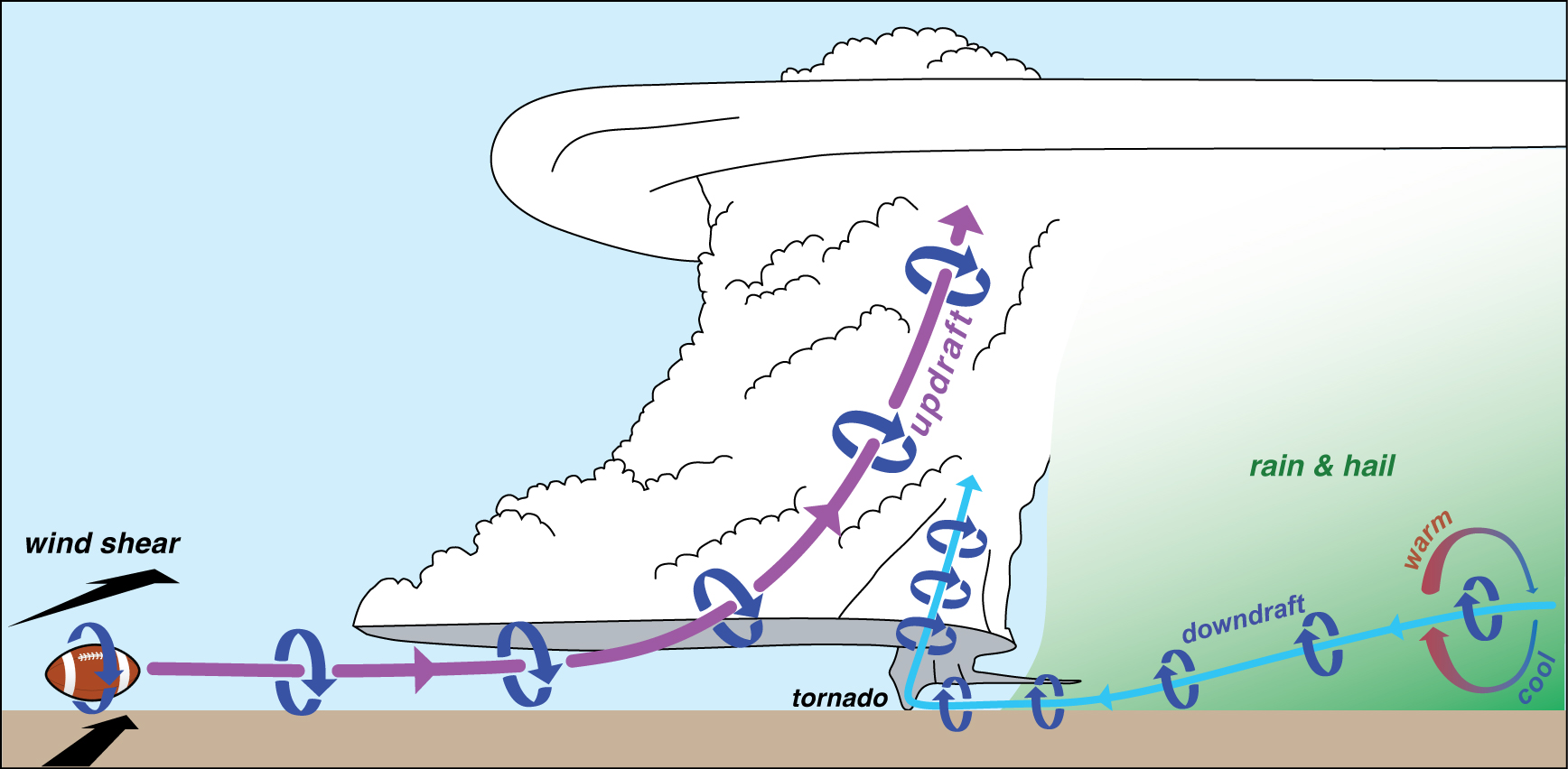 Diagram showing how a tornado forms within a supercell thunderstorm.