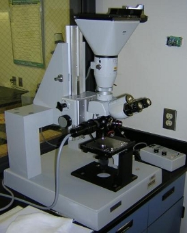 DIC microscopy
