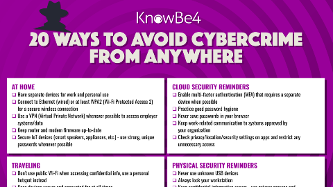 preview of pdf link on 20 ways to avoid cyber crime