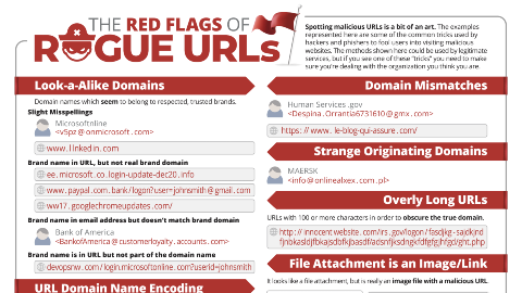 preview of pdf link on the red flags of rogue urls