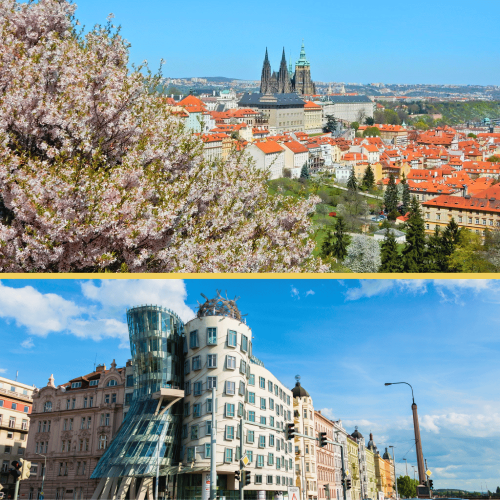 Cherry blossoms framing a view of Prague Castle above the rooftops, paired with a street-level view of the curved Dancing House.