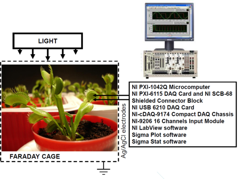 schematic 2