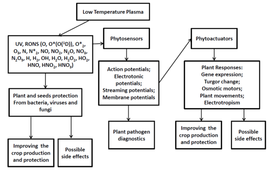 schematic 3