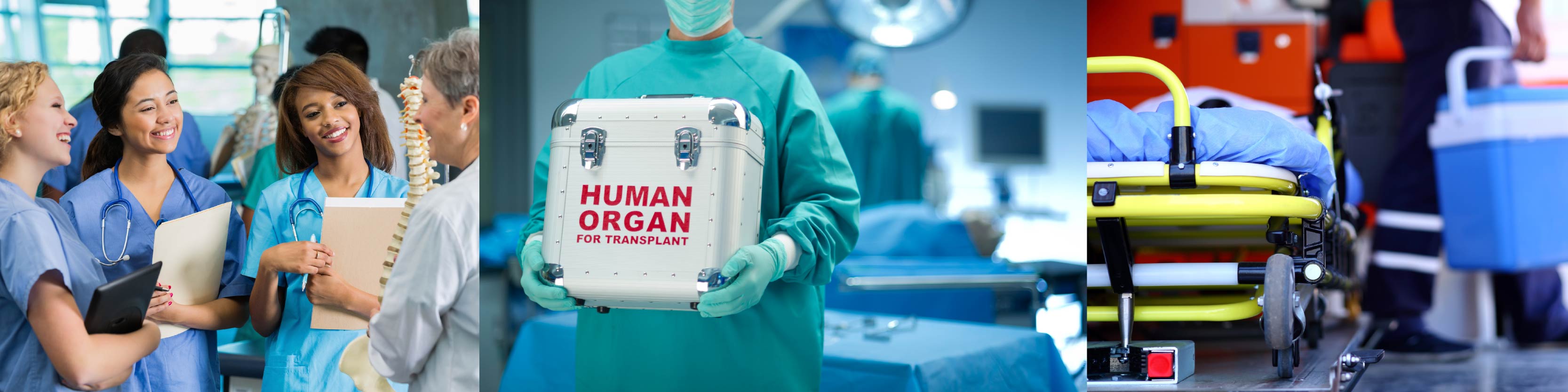 UAH-C-11003-Mobile Apps Organ Transplant