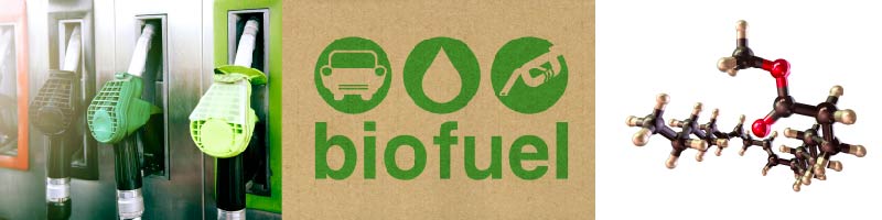 UAH-P-11012-Continuous Production of Bio-Butanol from Biodiesel Crude Glycerol
