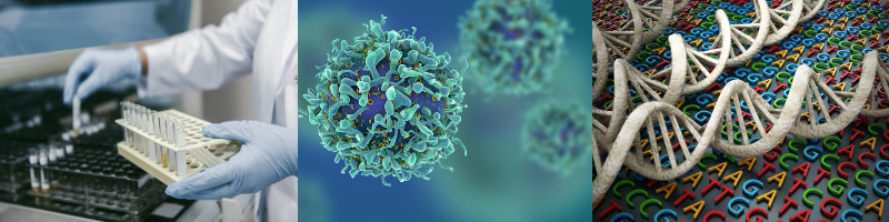 PCR-Based Gene Synthesis to Produce Recombinant Proteins for Crystallization