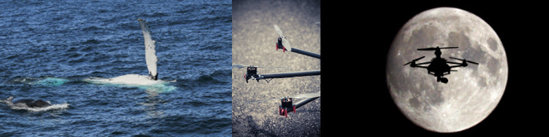 Biomimicry for UAS Blade Design