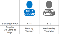 Blue Group and Silver Group on campus days